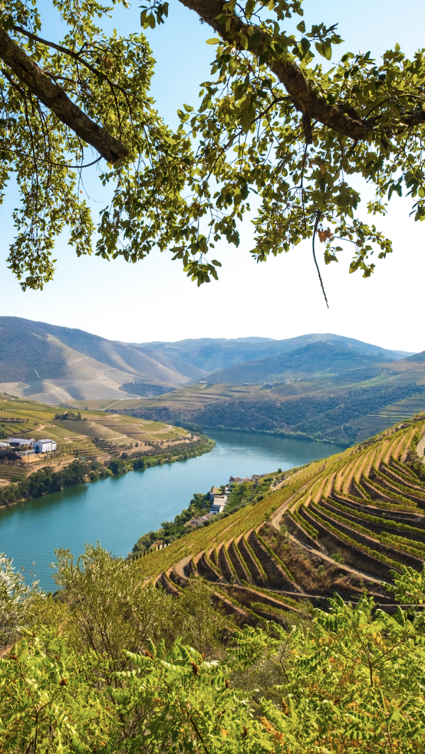 Douro Valley Douro Valley