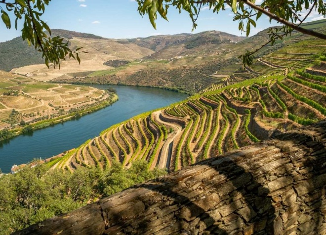 visit douro valley