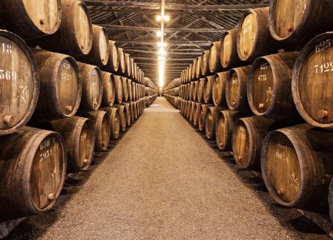 port wine tours douro valley