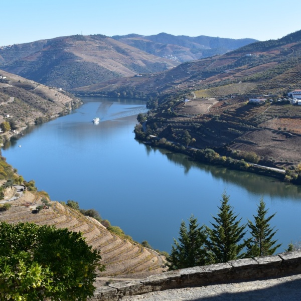 douro river boat