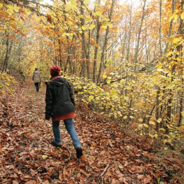 parque natural de montesinho braganca.a