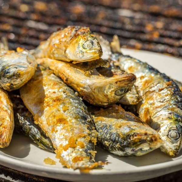 sardines algarve