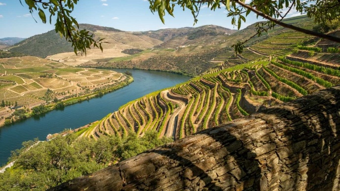 how to visit douro valley