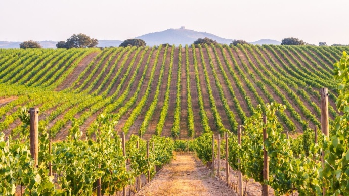 alentejo wineries portugal