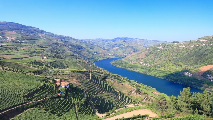 best way to visit douro valley from porto