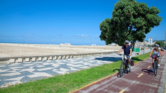 gastronomy and cycling
