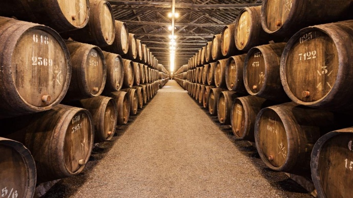 port wine tours in douro valley