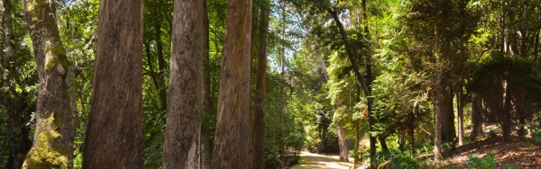 Sustainability