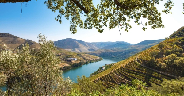 Douro Valley