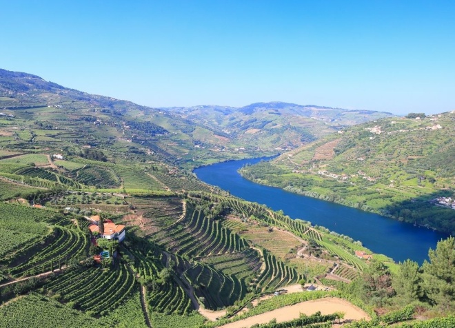 best way to visit douro valley from porto