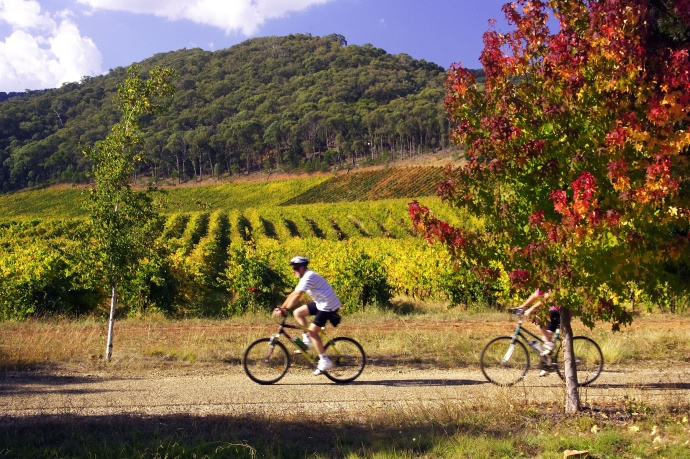 Women relaxing in scenic vineyard